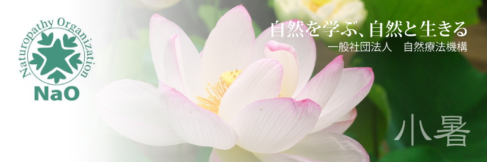小暑