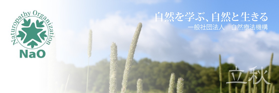 立秋